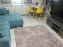 Apartament Buzaului 3 camere