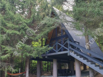 Casa tip A Frame de inchiriat in Avrig zona Valea Avrigului