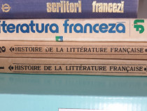 Histoire de la litt. francaise, vol.1 & 2 - Angela Ion