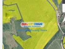 Teren 60000 mp, in Plopu, la 10 km de Ploiesti