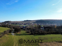 Teren extravilan 650mp Rusciori