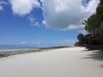 Teren 2500mp in Zanzibar