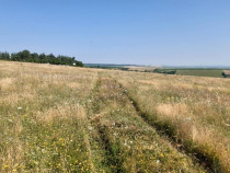 Teren 5000 mp de vanzare in satul Rusciori la 8 km de Sibiu