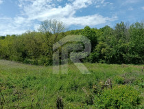 Teren Intrav. in Tiparesti, Cocorasti Mislii, langa padure