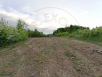Teren 2000 mp intravilan Smeura-Mosoaia. Comision 0%