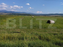 Teren extravilan, Livezile, 1.83 hectare