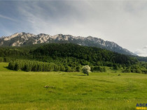 FILM! Terenul care iti dezvaluie privelisti mirifice catre P