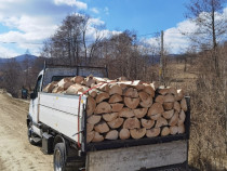 Transportam Lemn de foc de fag, cioate crăpate la dimensiune, cuburi.