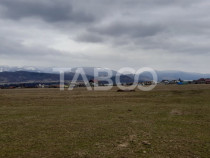 Teren intravilan 11.400 mp deschidere 45 ml in Talmaciu zona