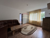 Apartament mobilat cu 2 camere Cuza Voda/Etaj 1