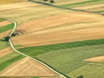 Teren agricol (arabil) 50000mp in comuna Terpezita judetul Dolj