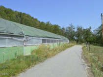 Bogati - Glimbocel, ferma zoo, cladiri autorizate DSV, te...