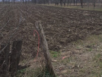 Vând teren intravilan în comuna Blandiana, 1200 mp