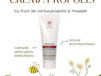 Crema propolis cu fructe