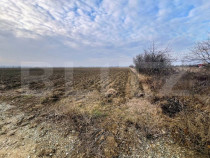 Oportunitate-Teren intravilan de vanzare, 5000 mp, zona Comu
