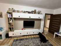 Apartament 3 camere / centrala / renovat / 2 bai / Fizicien