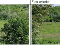 Teren intravilan cota parte 1/4 Tarpesti, ID: R2327012