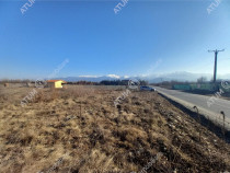 Teren intravilan 7900 mp de pe Valea Avrigului