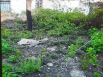 Teren pentru casa-Bucurestii Noi-pozitie foarte buna