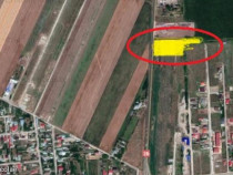 Teren intravilan 5000 mp Minerva cu posib utilitati ,25 euro