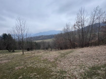 6000 MP teren intravilan, sat Bistrita, 9 Eur/MP