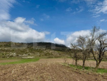 Teren intravilan de vanzare, 1500 mp, zona Șoimuș