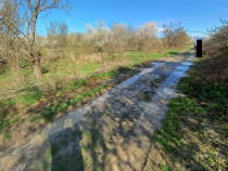 Lapusel, 60ari livada