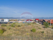 Teren de vânzare 1,000mp Cristian - intravilan