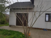 Vila NOUA P 1 Cazasu 200mp construiti teren 1700mp cu 23m l