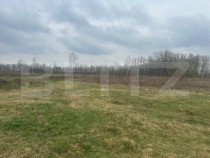 Teren intravilan de vanzare, 4.844 mp, zona Scheia