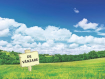 Teren extravilan 30.000 mp &ndash; Pantelimon zona industri