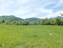 Teren Intravilan - Pretabil Investitie