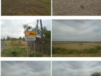 Teren extravilan 5000 mp, Com Ungheni, Jud Arges