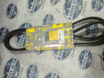 Curea transmisie cu caneluri Renault Kangoo