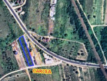 Teren intravilan C&acirc;rcea , 2000 mp