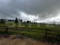 Teren de v&acirc;nzare intravilan &icirc;n Poiana Stampei, 2 hectare