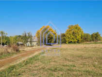 Teren constructie casa, Ilies, Dolhasca