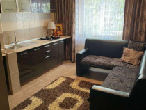 Apartament 2 camere de Gorjului