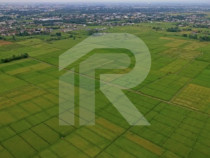 SNAGOV 20150mp TEREN INTRAVILAN AGRICOL