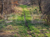 Casa cu o camera, 60 mp, in apropiere de Brad