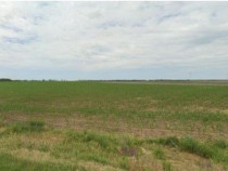 Teren extravilan Pogoanele, ID: R2586845