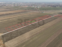 RECO Teren intravilan Cihei Sanmartin