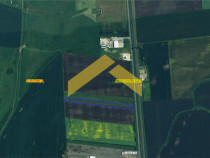 Teren extravilan de drumul Arad-Sofronea