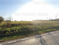 Teren extravilan - Tulcea - comuna Cernea -