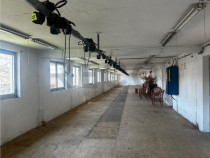 Reco Hala industriala Oradea