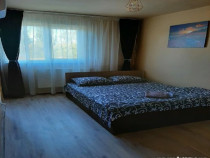 1 camera in zona Balcescu