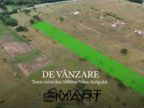 Teren intravilan 5000mp Valea Avrigului