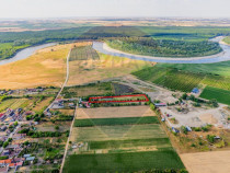 Ferma de cai andaluzi de vanzare - Zadareni