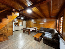 ????Cabana de vanzare 5 camere Baile Figa