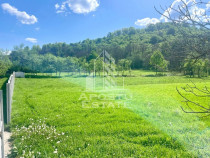 Teren intravilan, partial imprejmuit, eligibil grant- Poj...